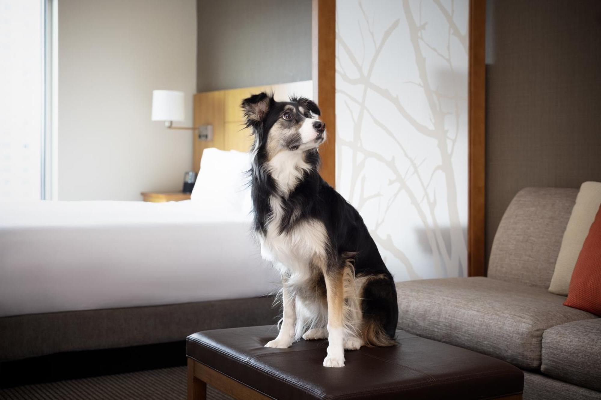 Hyatt Place Denver Downtown מראה חיצוני תמונה